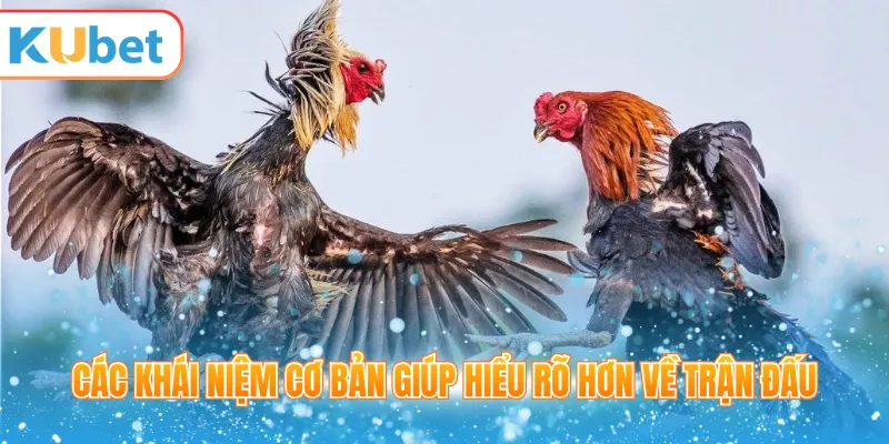 Các khái niệm cơ bản giúp hiểu rõ hơn về trận đấu